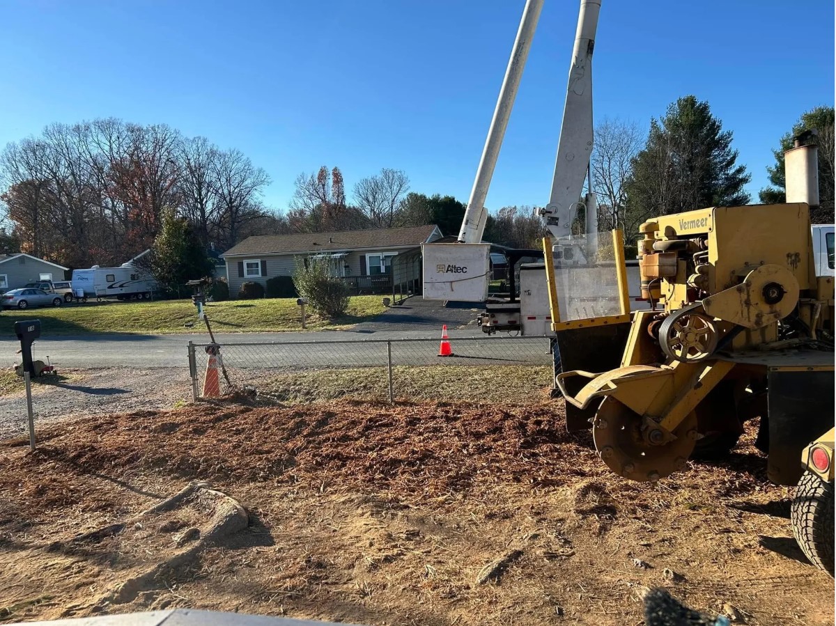 Love Mtn Treescape Services Image