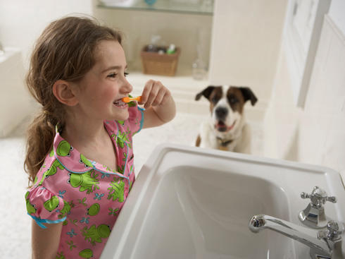 Faucets & Toilets