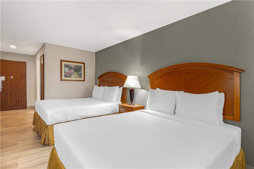 Best Western Manassas Image