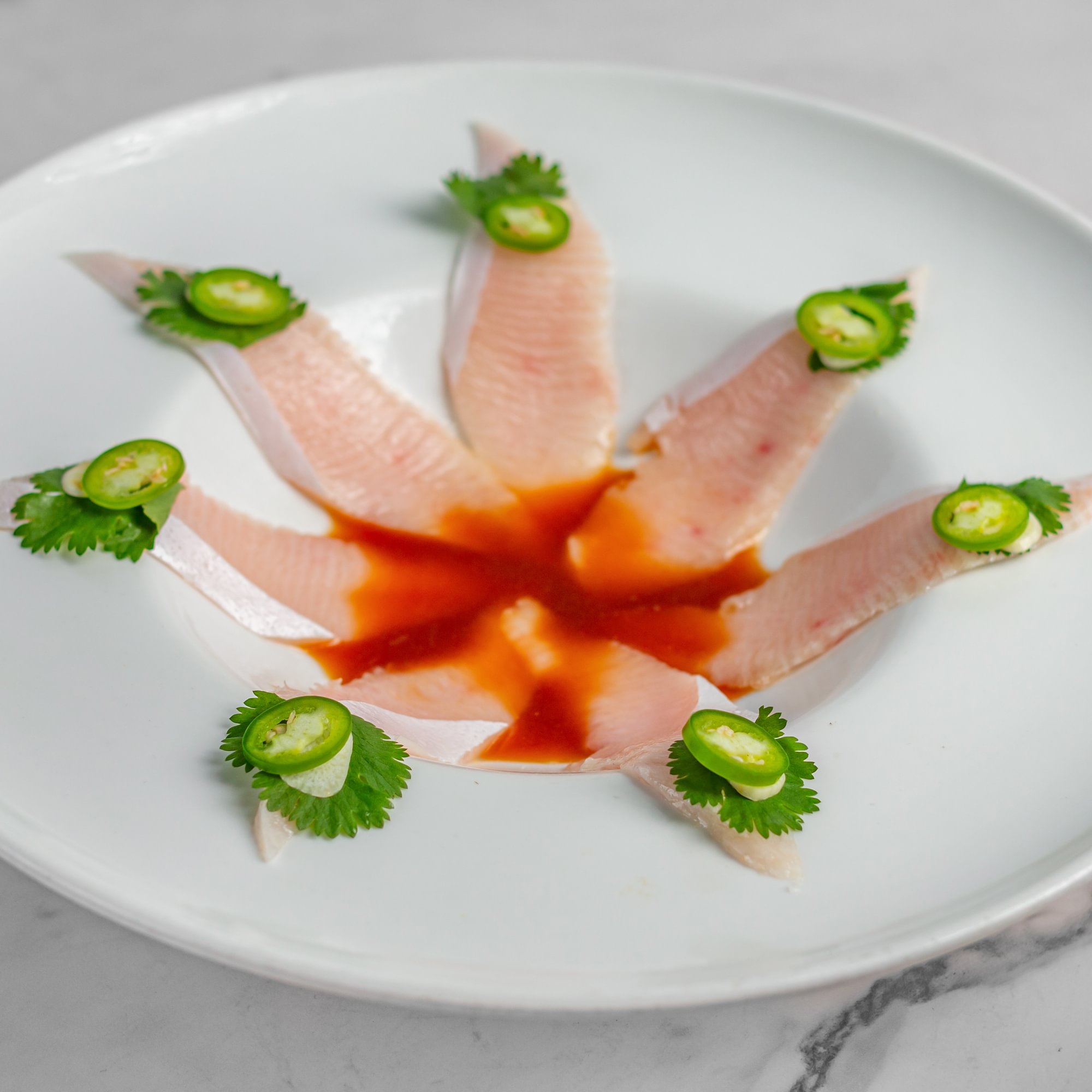 Baby Yellowtail *