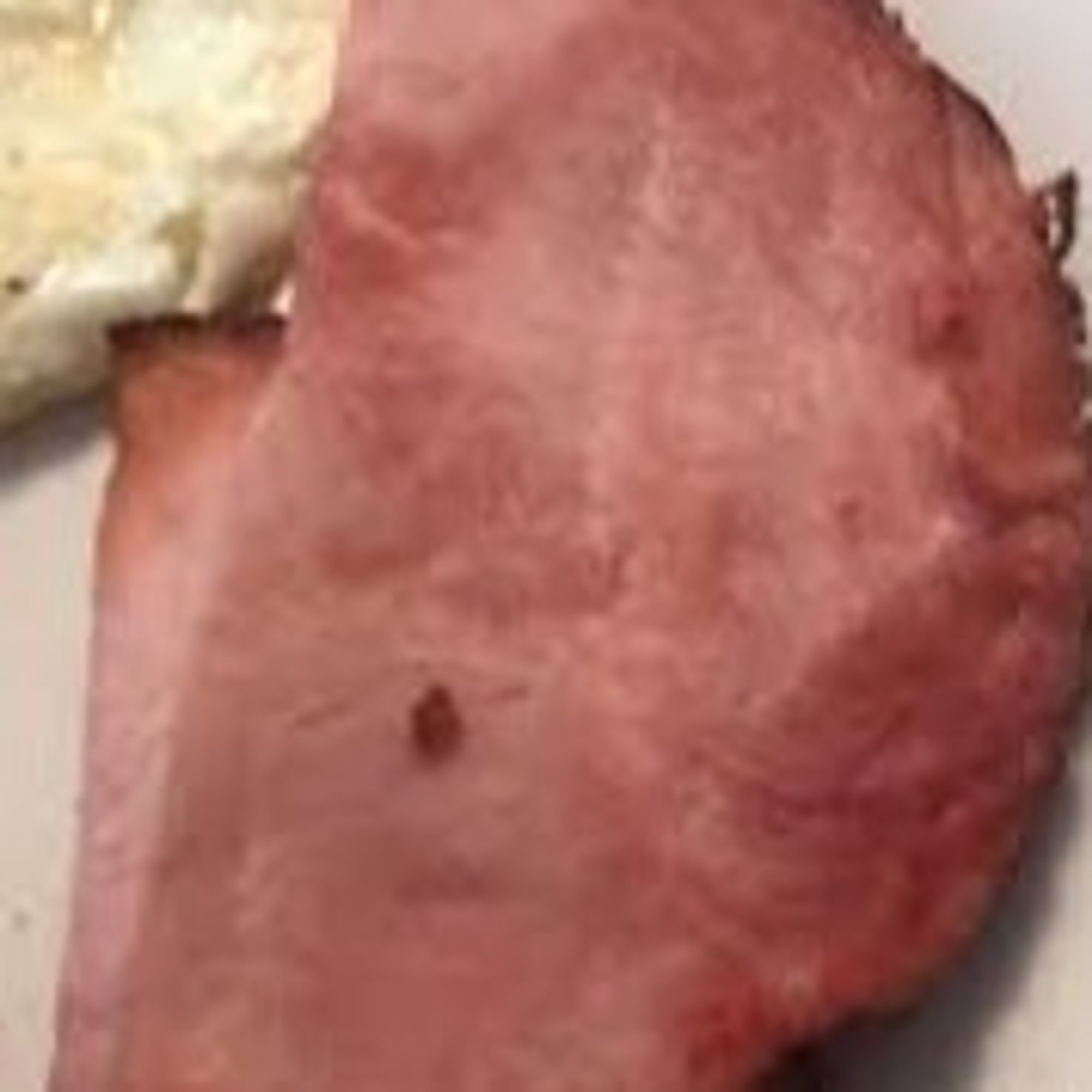 Ham slice