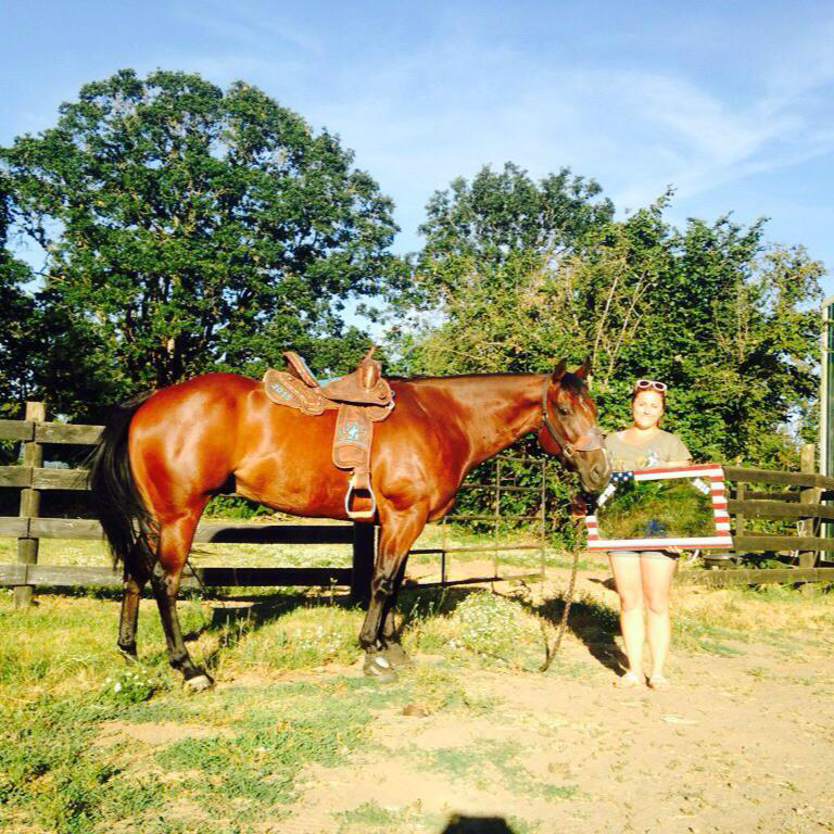 Countryside Equine Veterinary Service Photo