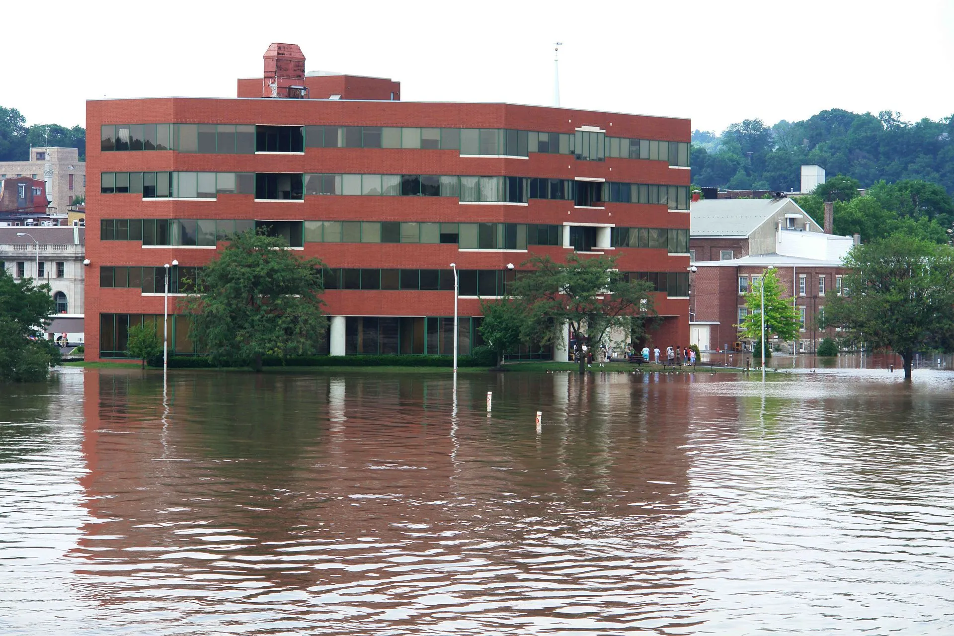 Commercial Disaster Mitigation