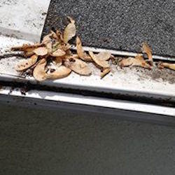 MN Gutter Cleaning Services Logo