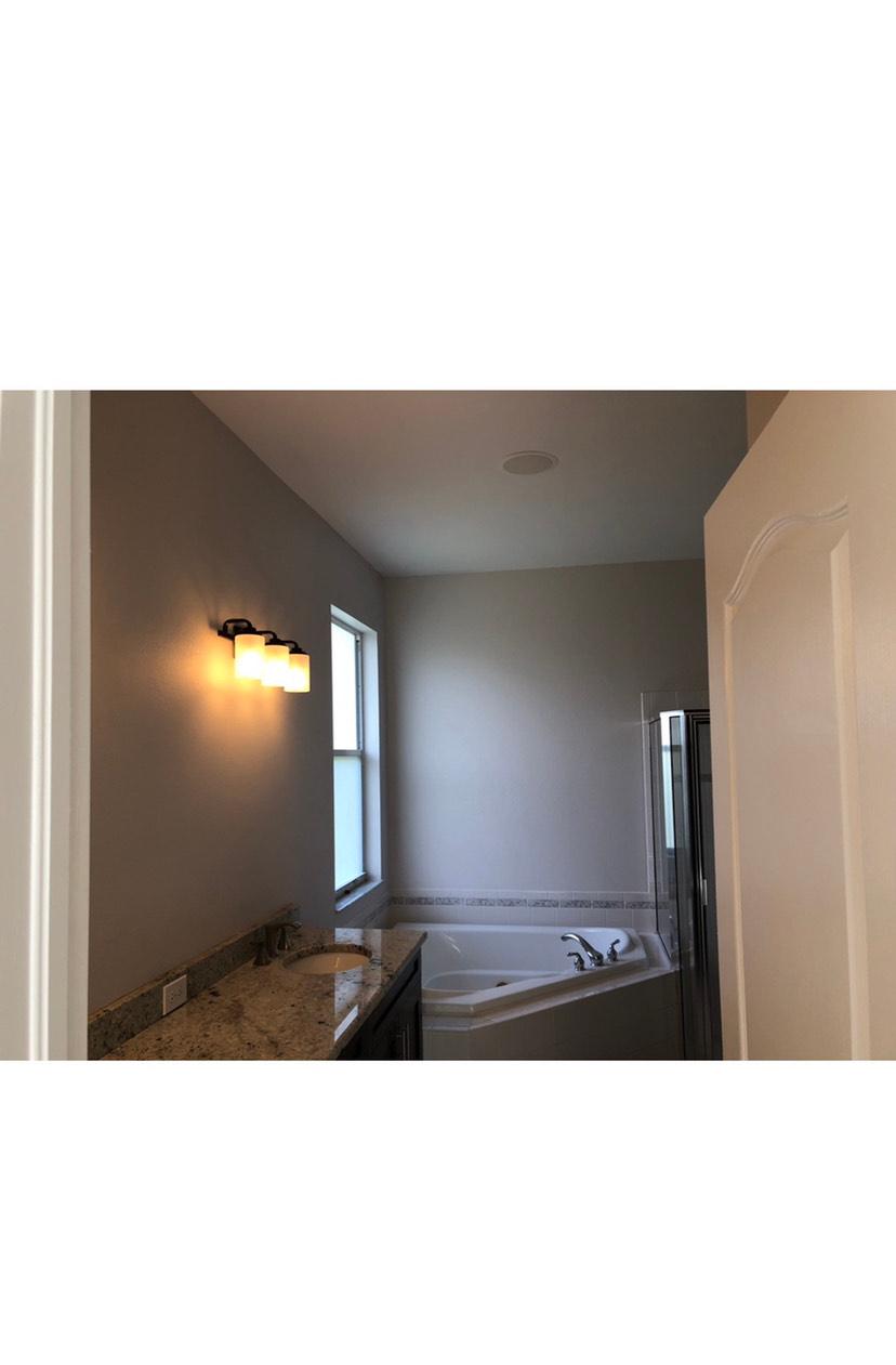 Peach Painting Image