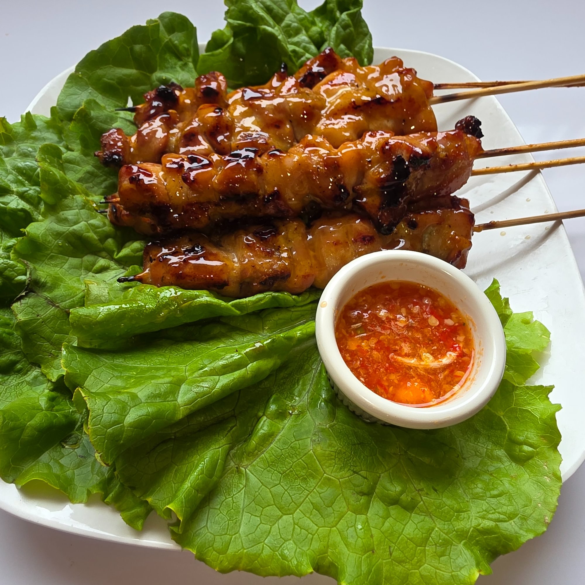 Chicken Skewer (2)
