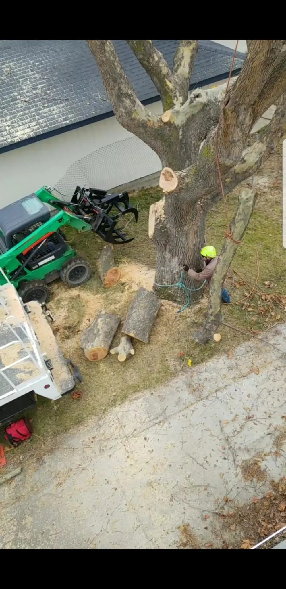 Supreme Tree Service Image