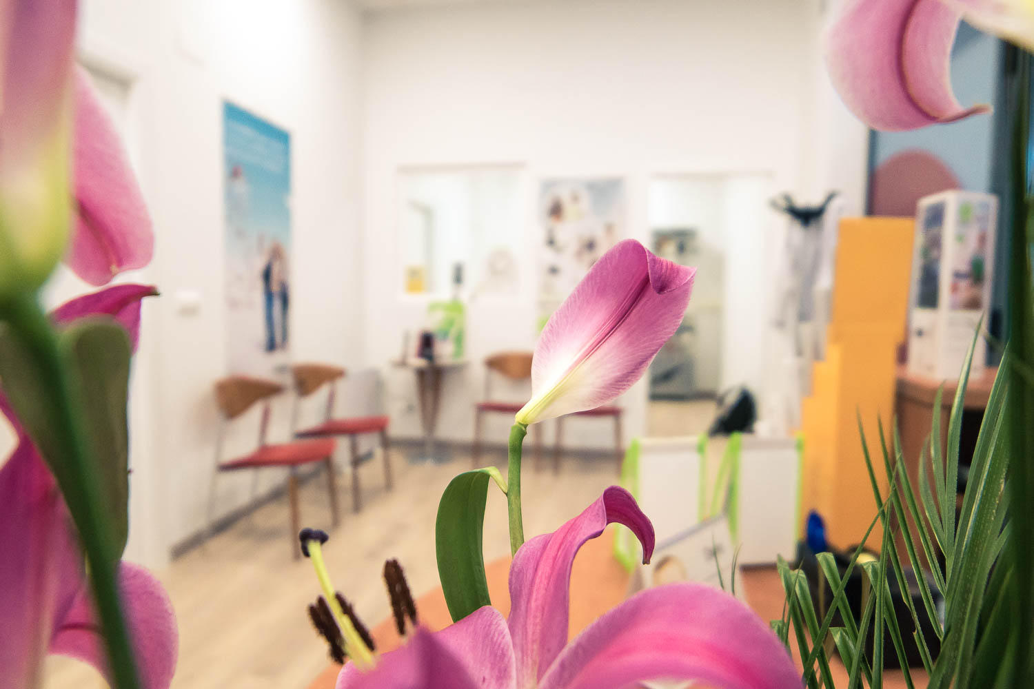 Galería en miniatura
