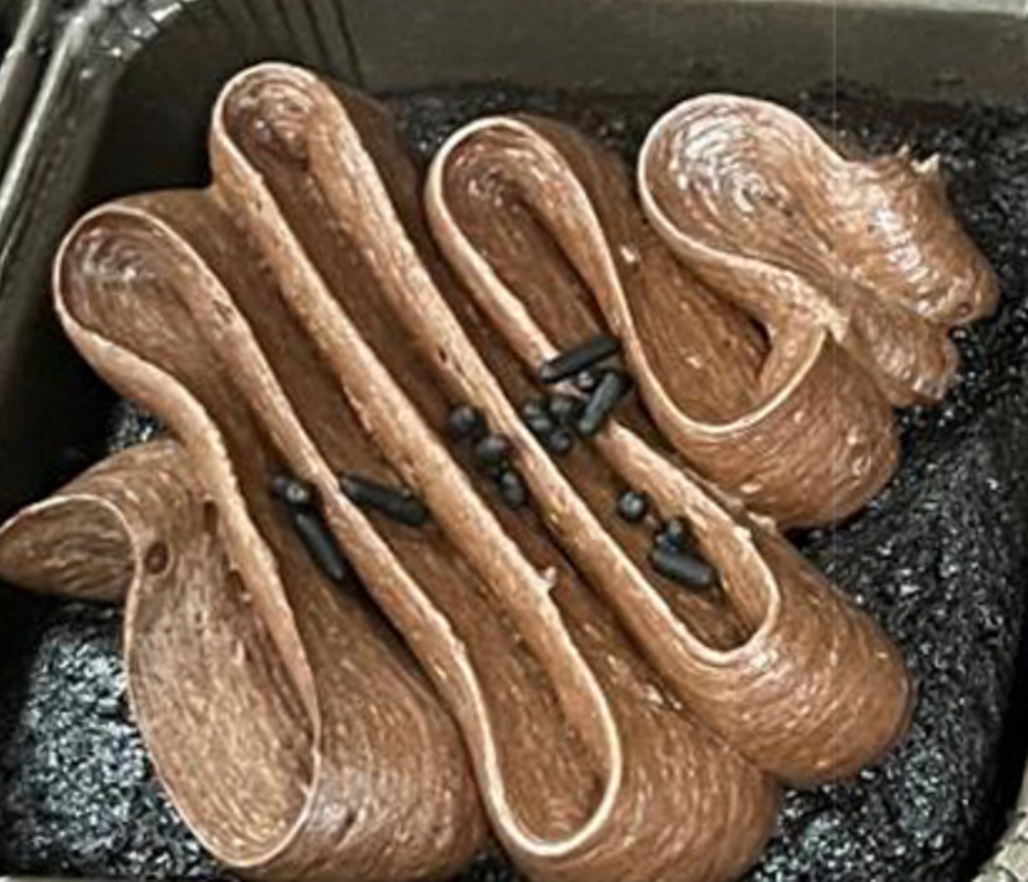 Assorted Cakes & Cookies
