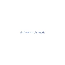 Logo di GALVANICA FENOGLIO