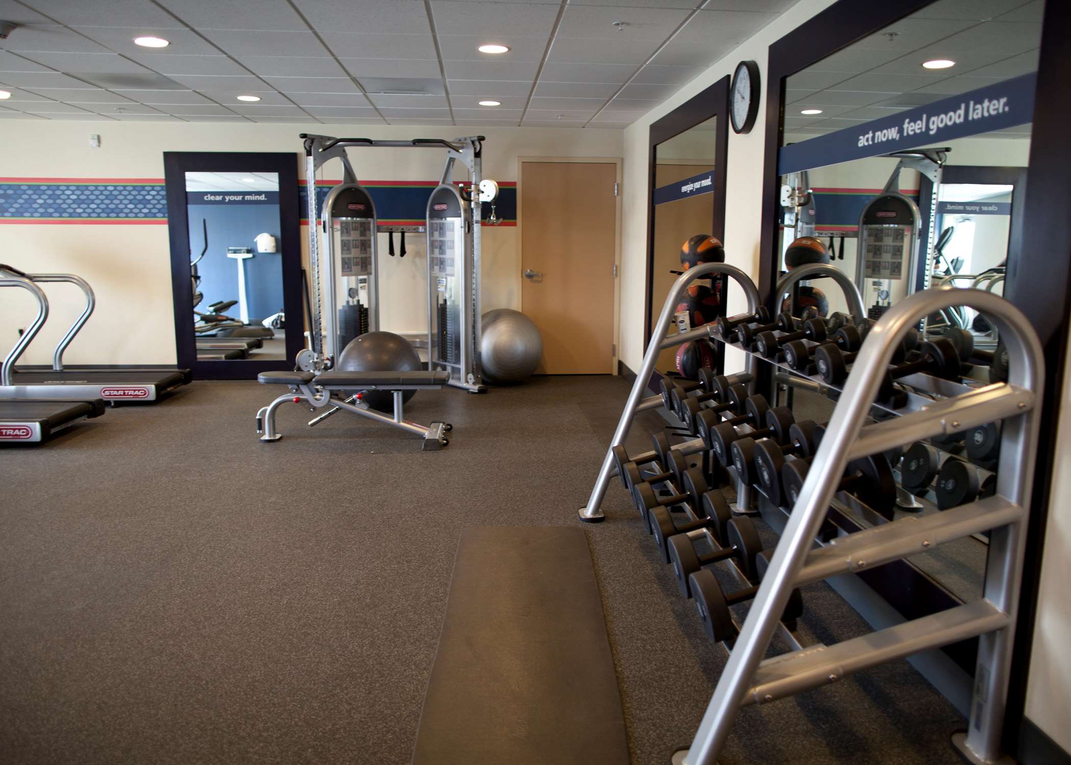 Health club  fitness center  gym
