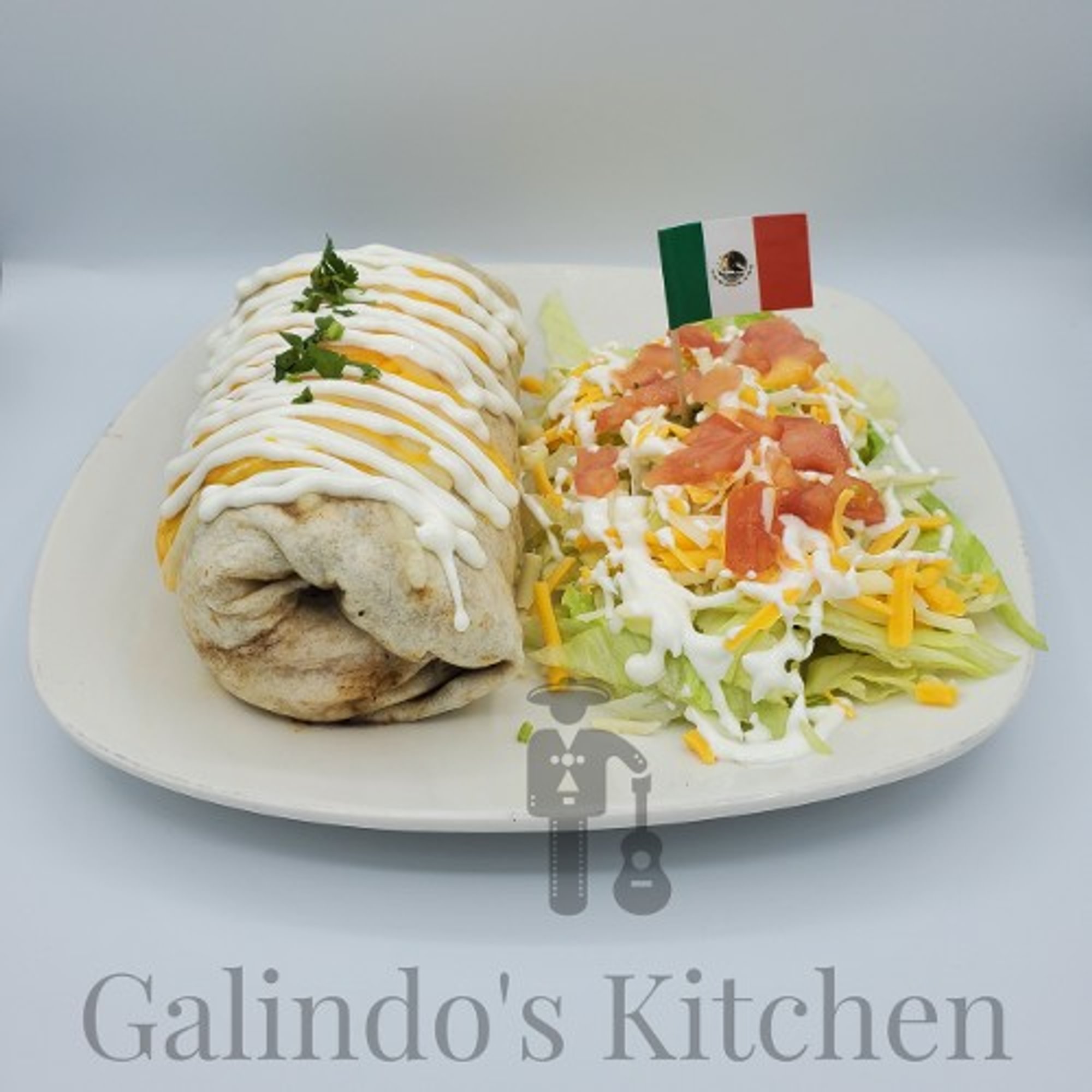 Veggie Burrito / Burrito Vegetariano