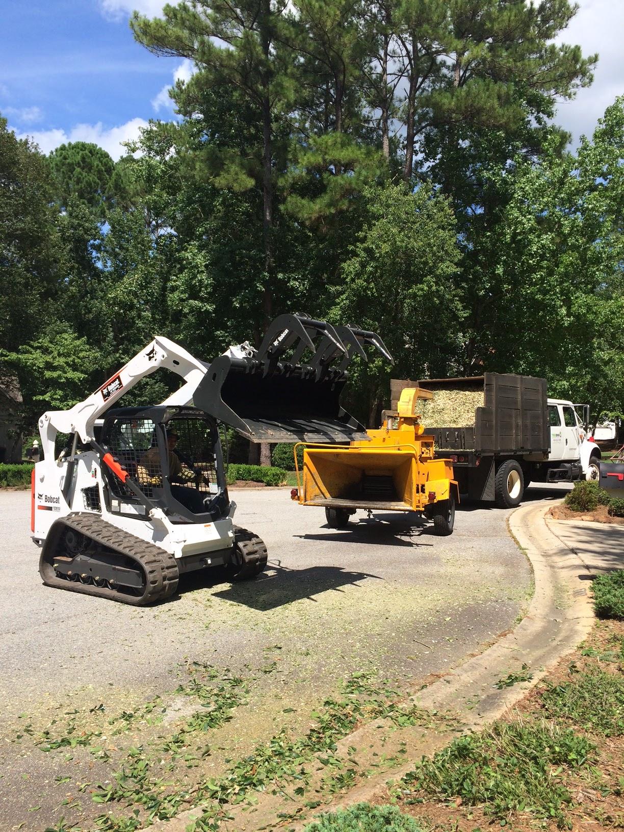 TreeDog Atlanta Services LLC Image