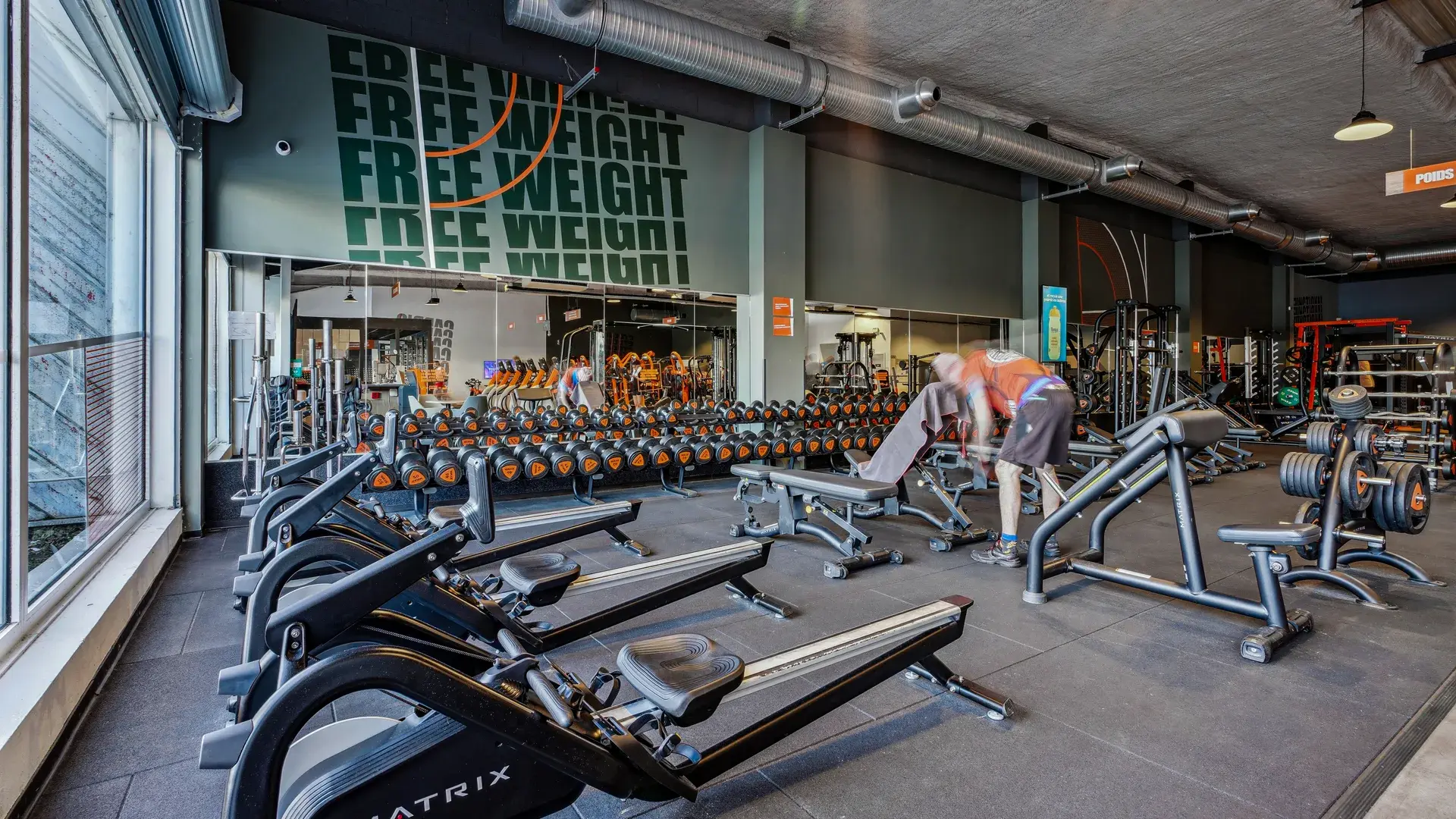 Miniature de la galerie