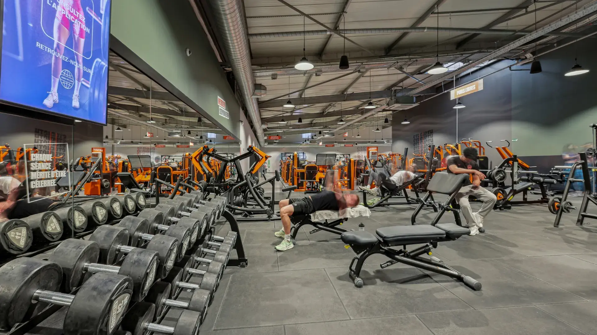 Miniature de la galerie