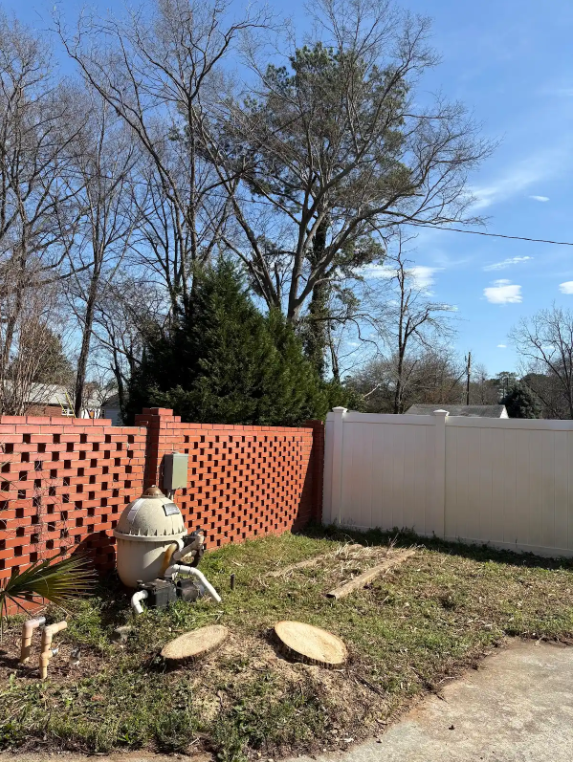 Branch Brothers Image