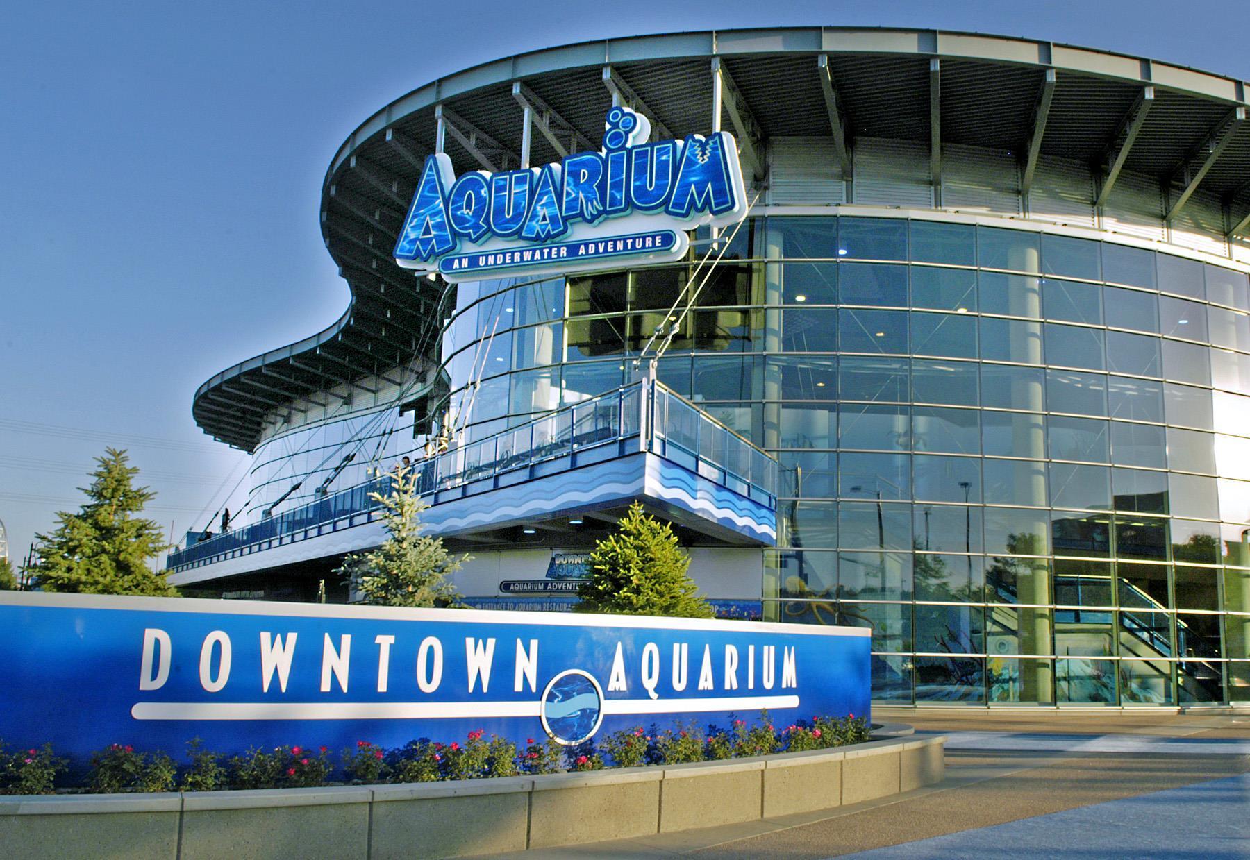 Downtown Aquarium Photo