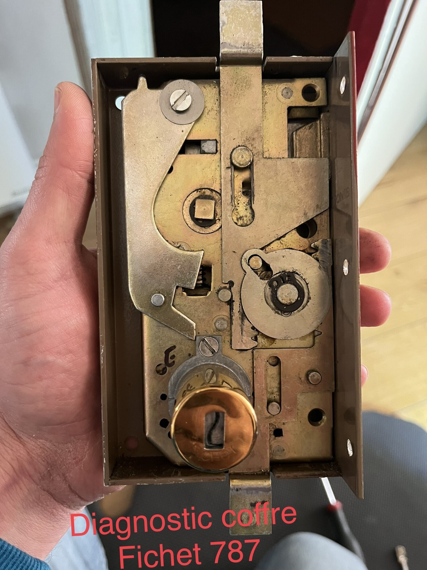 Miniature de la galerie