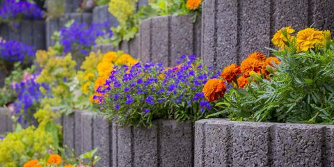 3 Flowers That Will Work Flawlessly With Your Retaining Walls