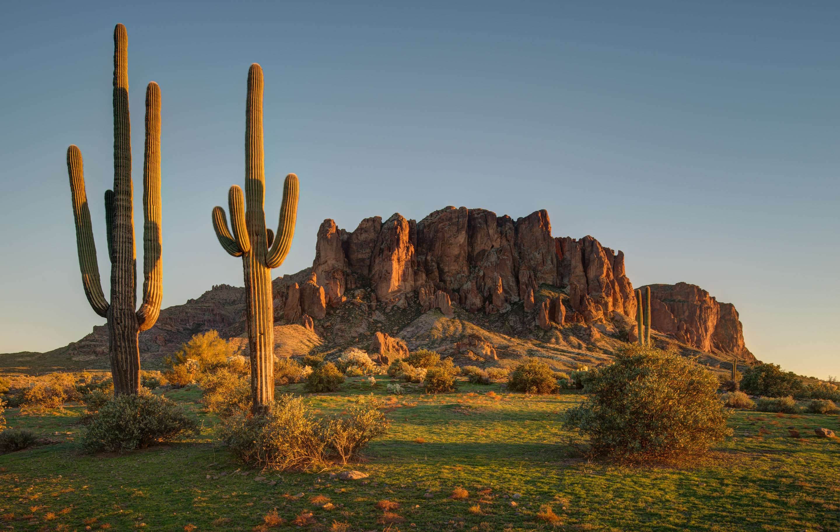 Cambria Hotel Phoenix - North Scottsdale Photo