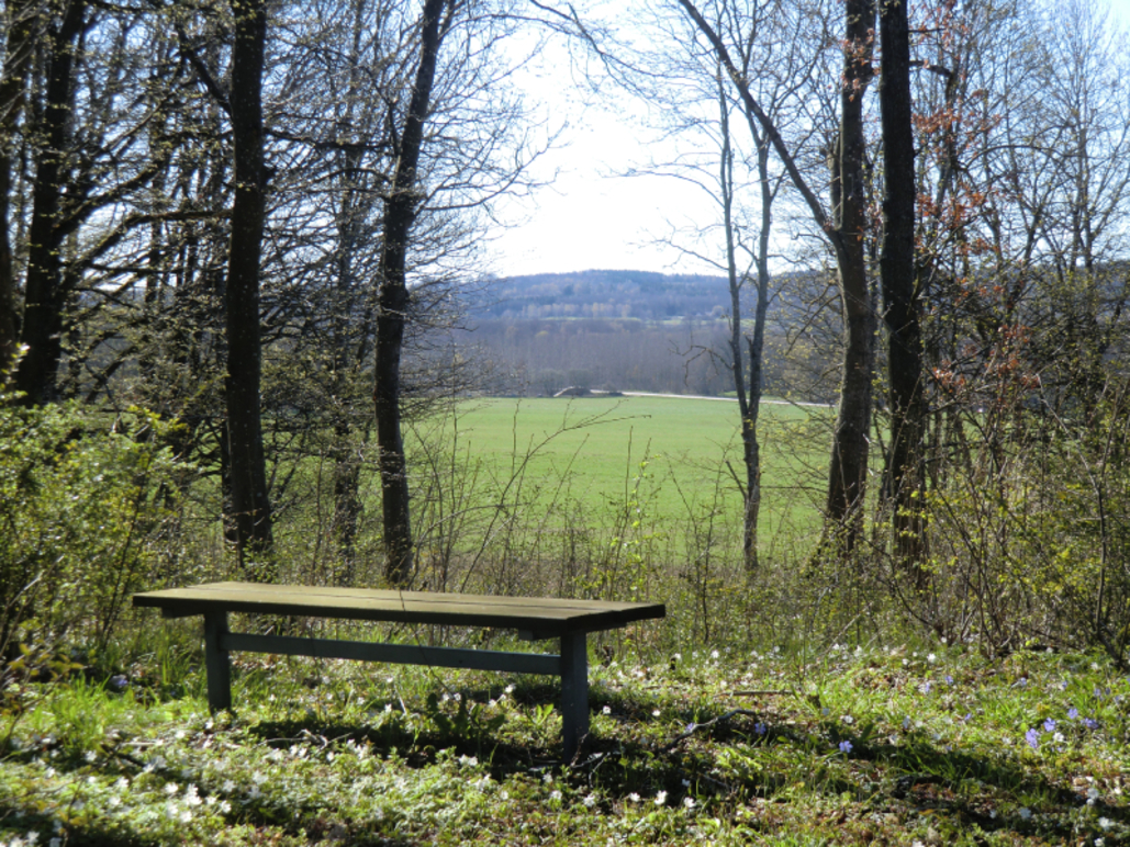 Foto de Röingegården