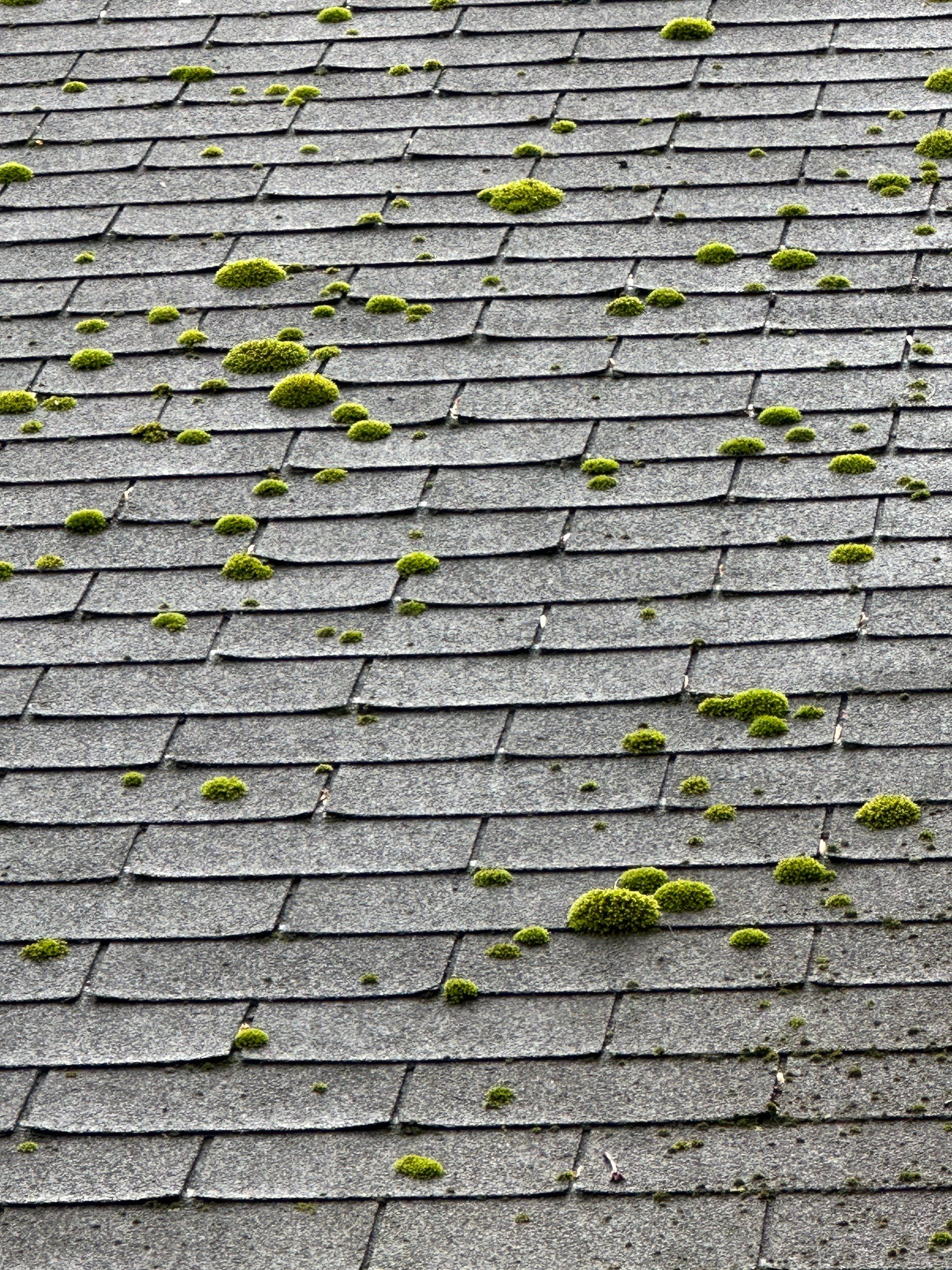 Radiant Home Services Image