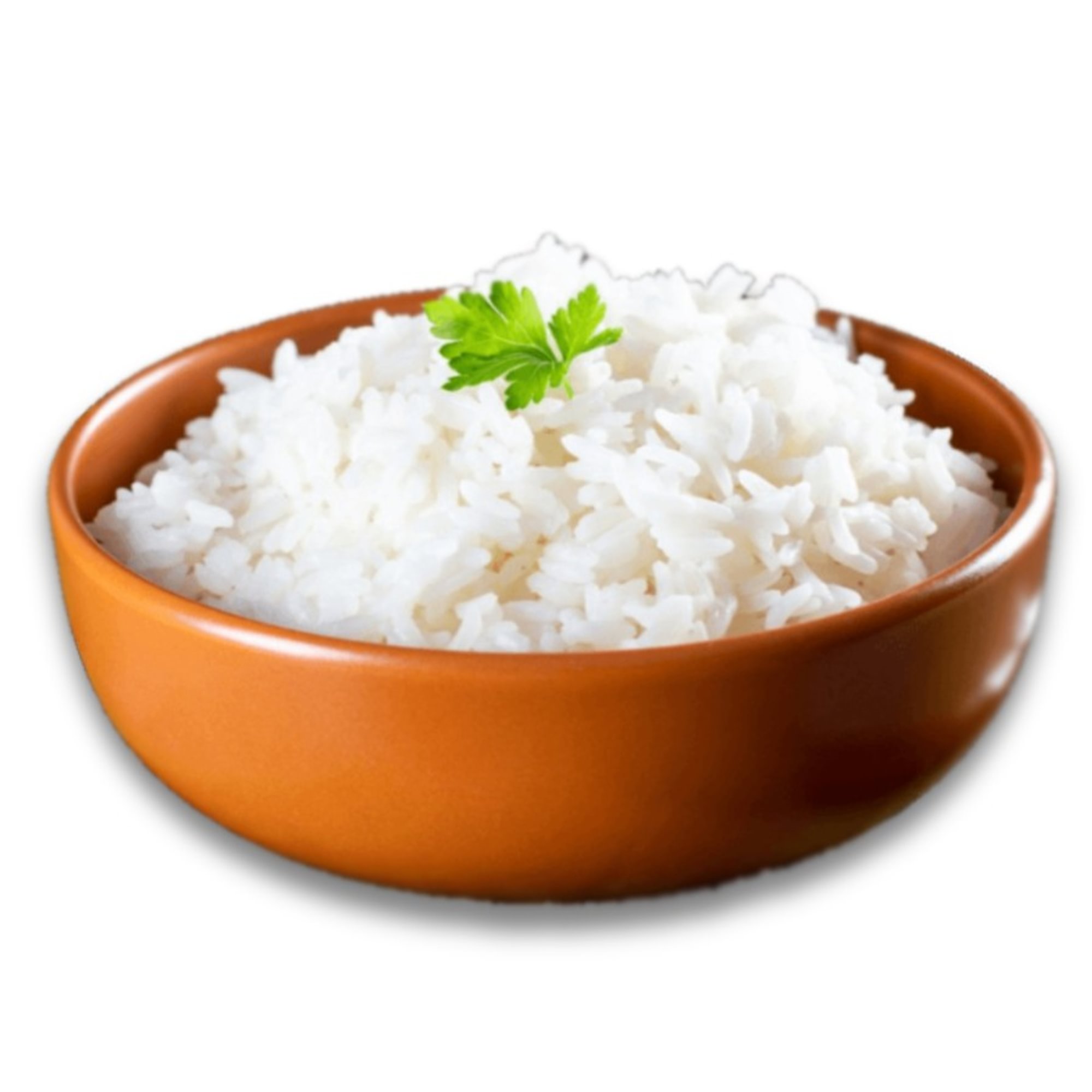 Side Order of Rice