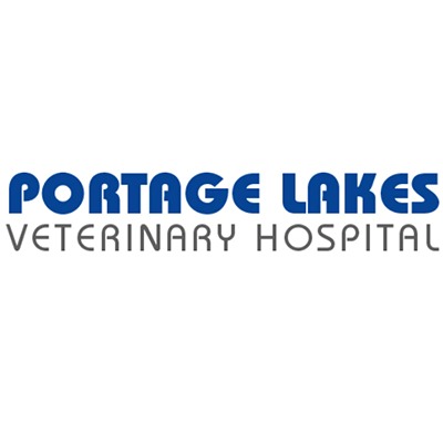 Peace Love Pawz Animal Wellness Center
