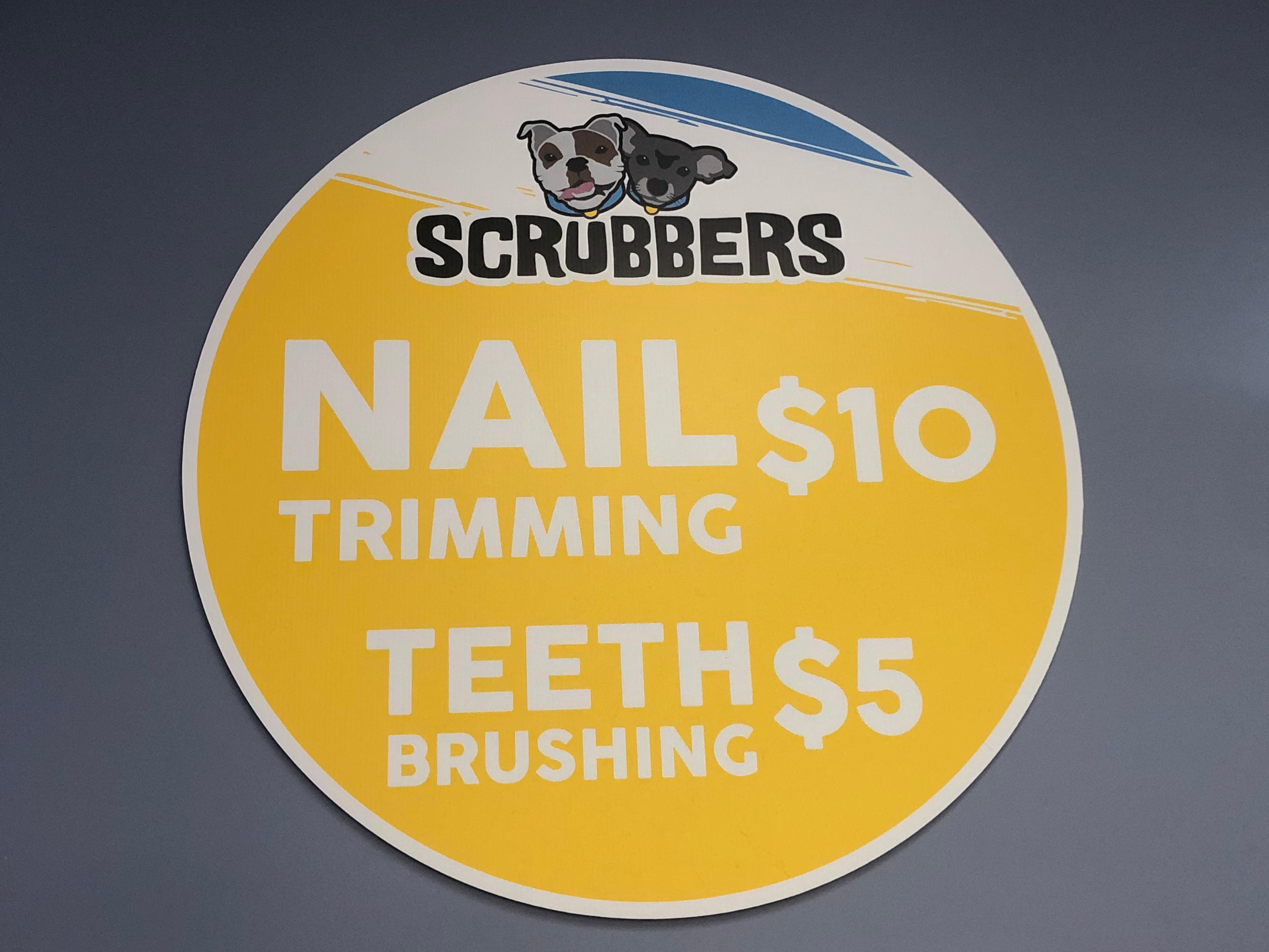 Scrubbers Self-Serve Dog Wash & Professional Grooming Photo