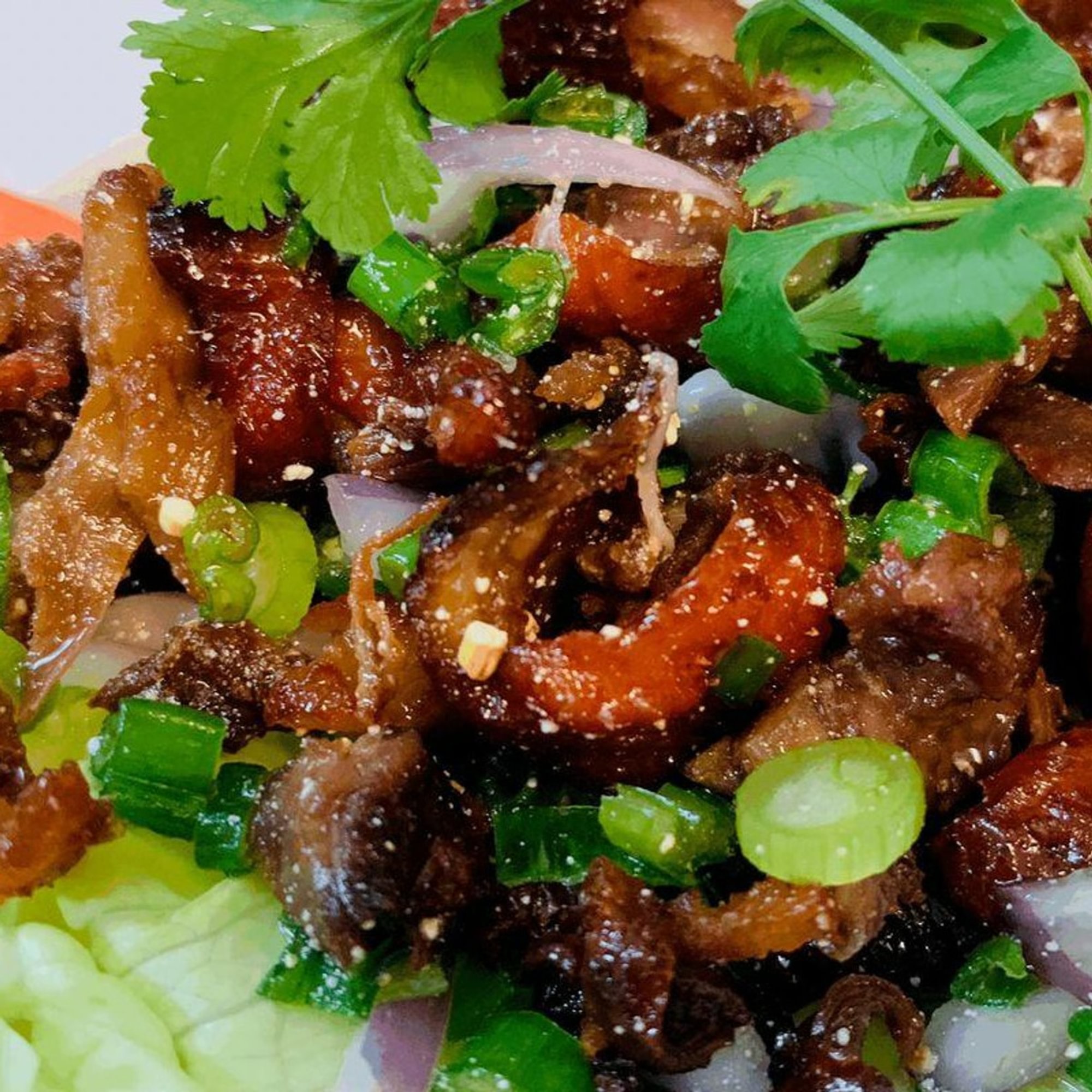 Duck Salad
