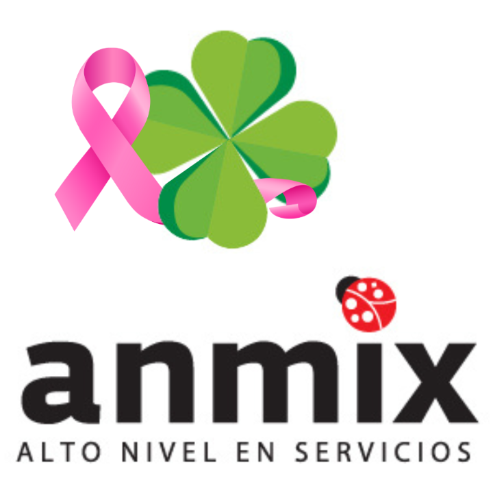ANMIX Alto nivel en servicios Metepec - México