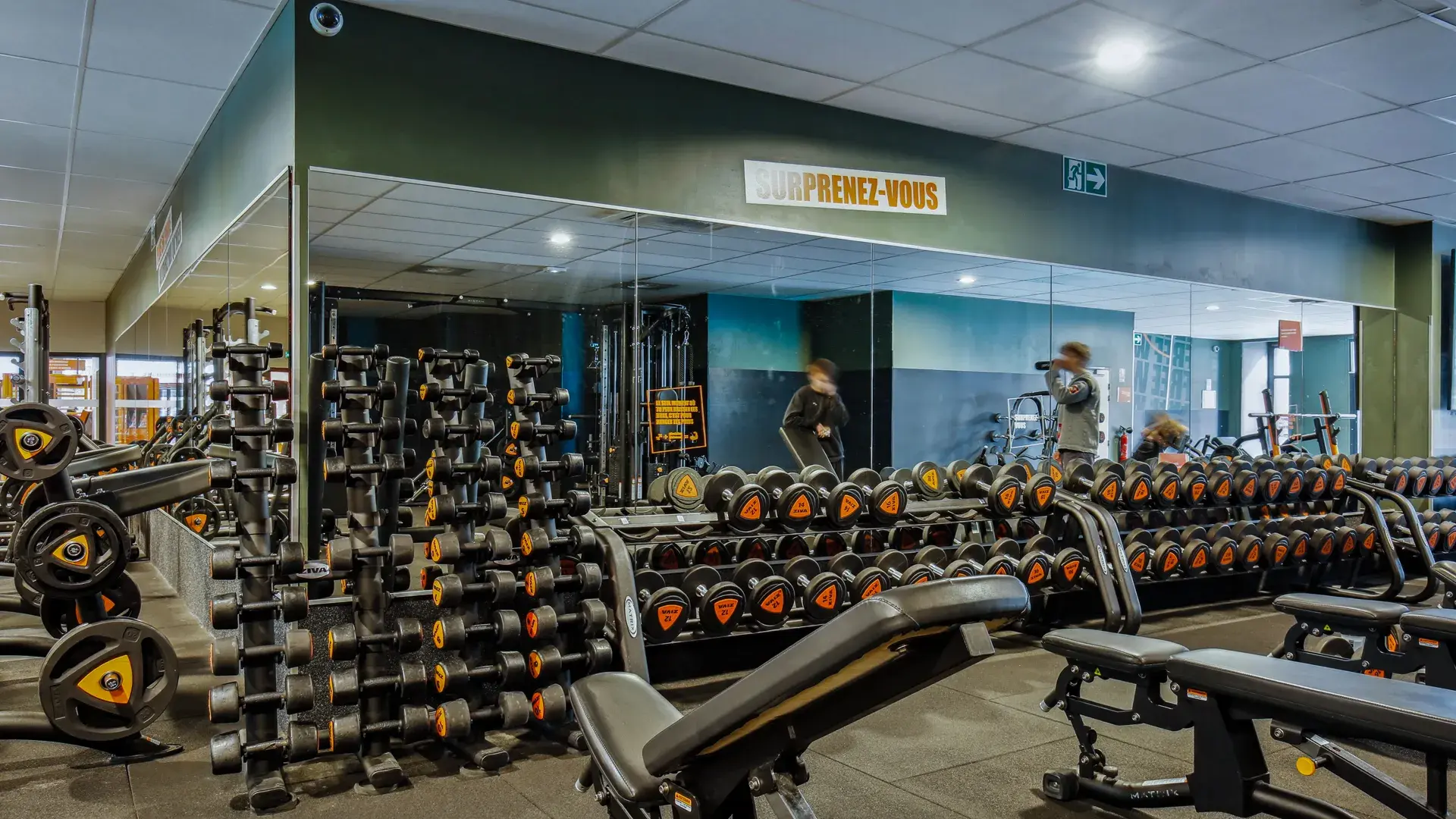 Miniature de la galerie