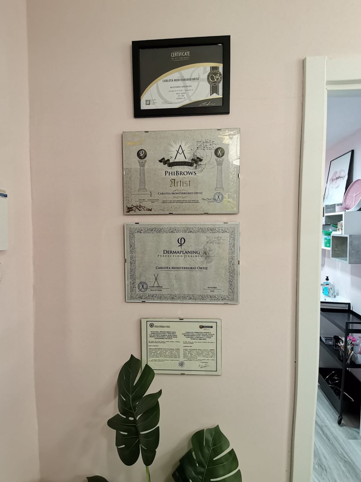 Galería en miniatura