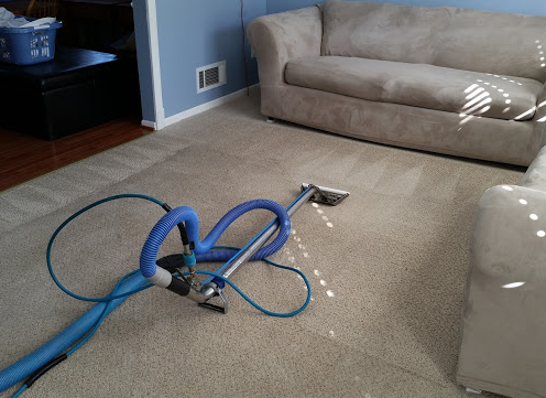 My Carpet Cleaning Service Photo