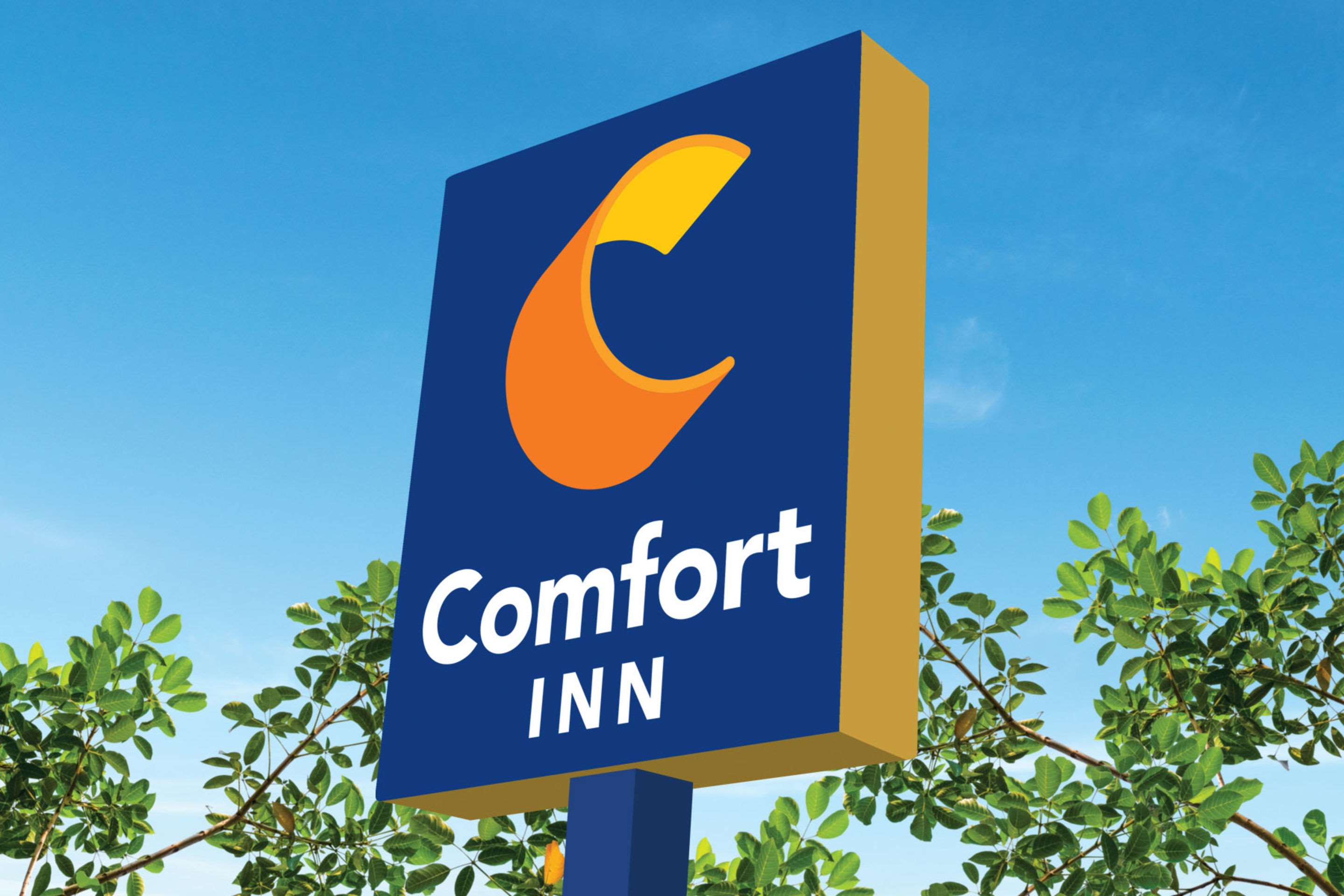 Comfort Inn Photo