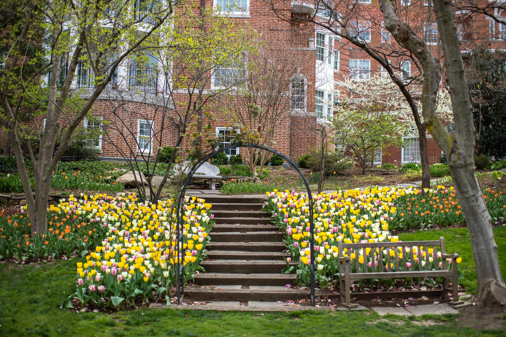 Washington Marriott Wardman Park Photo