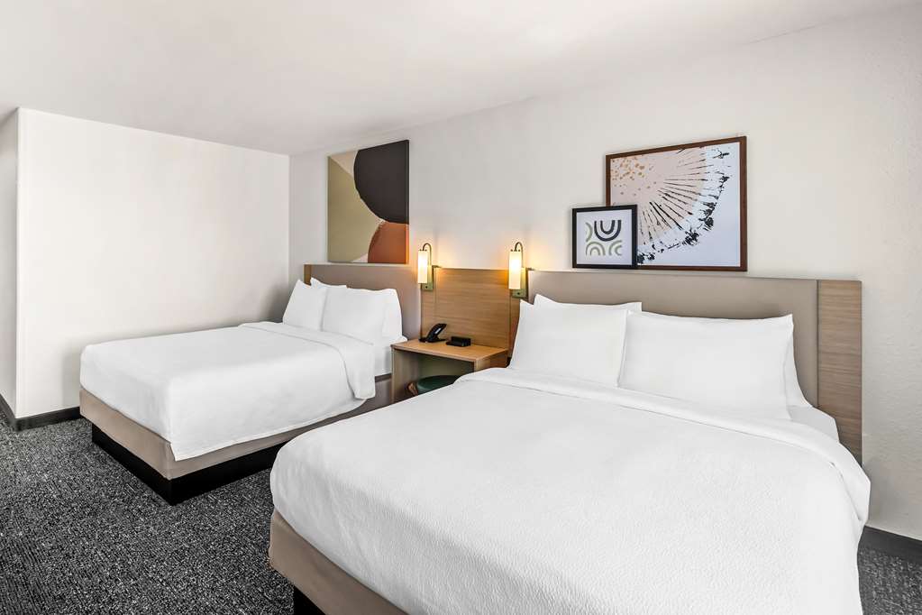 Spark by Hilton Killeen Image