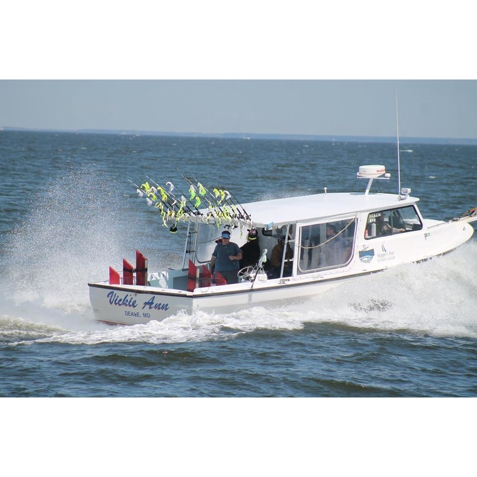 Herring Bay Charters LLC Logo