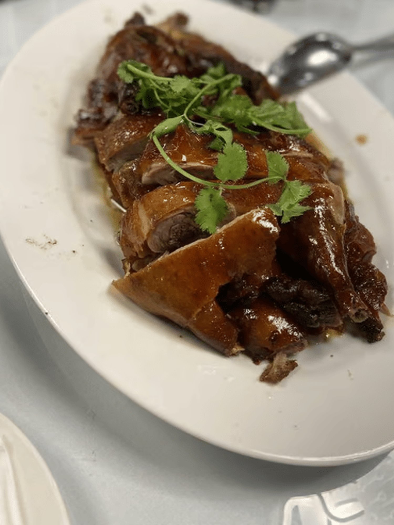 19. Roasted Duck/ 明爐燒鴨