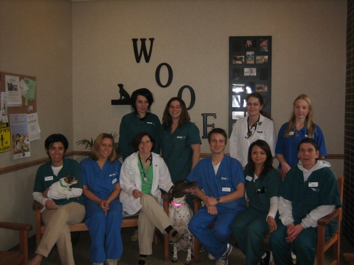 VCA Misener-Holley Animal Hospital Photo