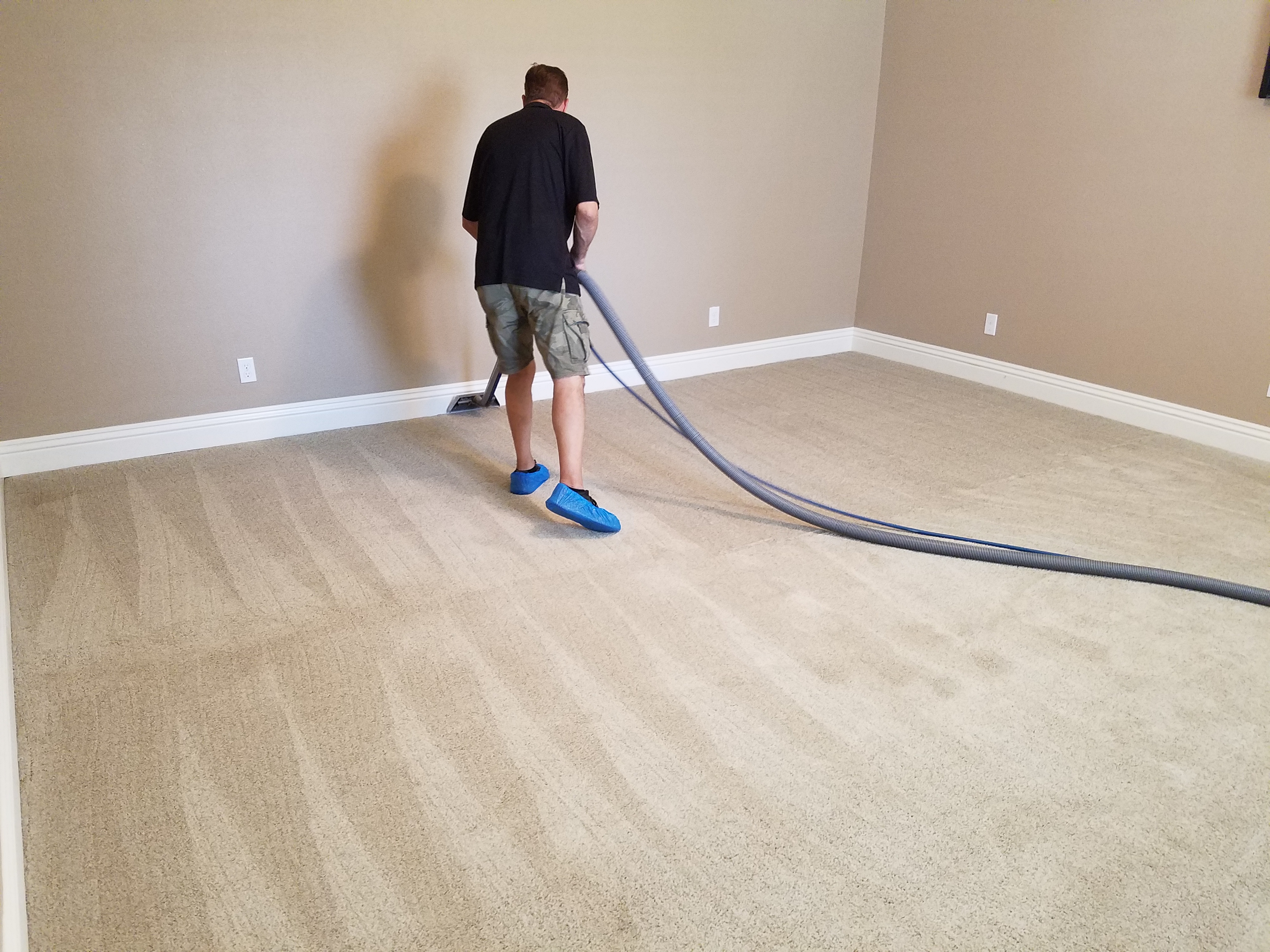 Bio Kleen Carpet and Upholstery Photo