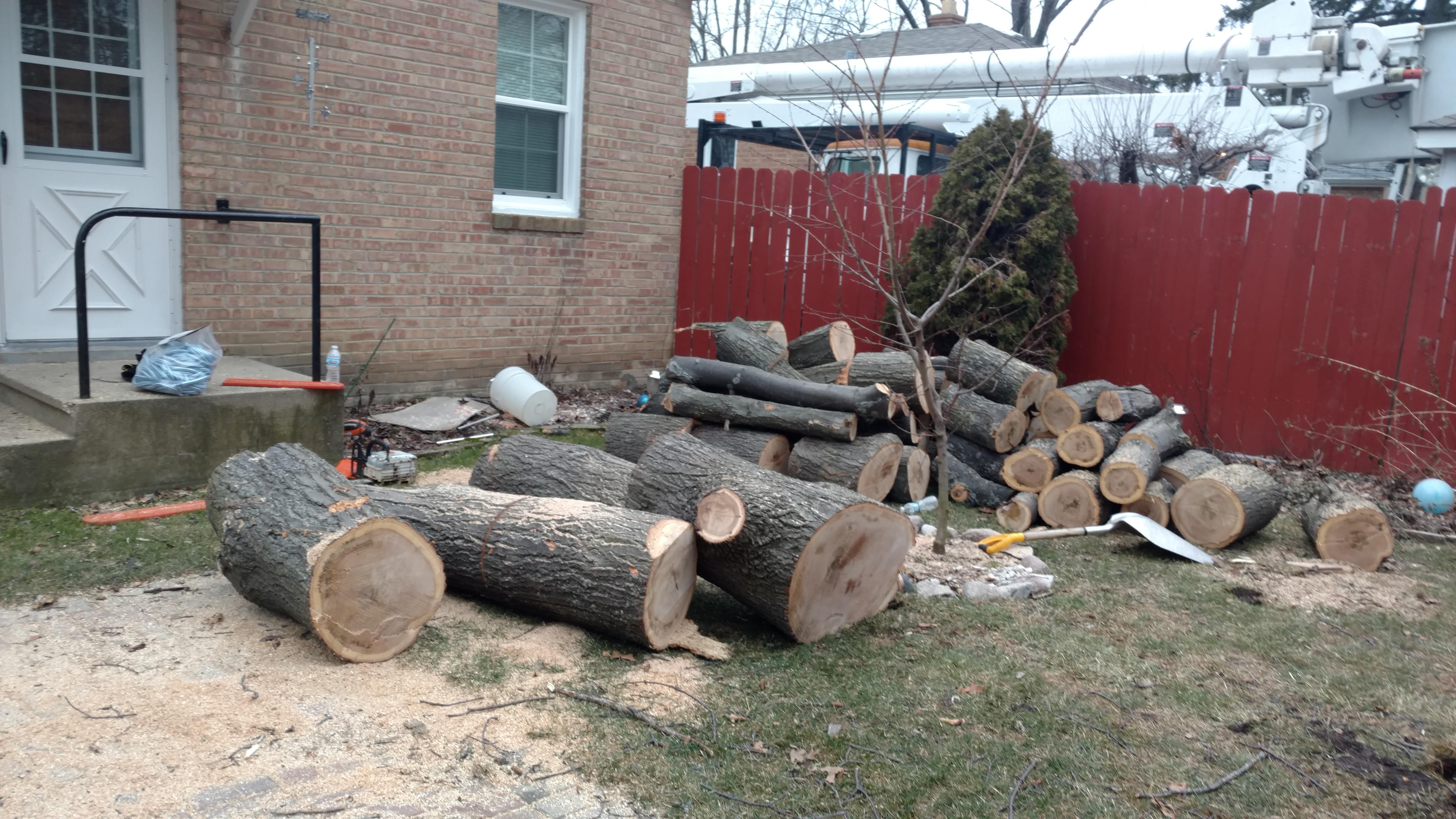 New Beginning Tree Service Company Image