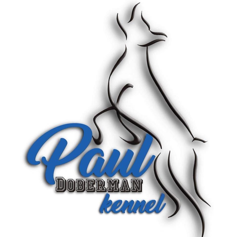 Paul Doberman Kennel