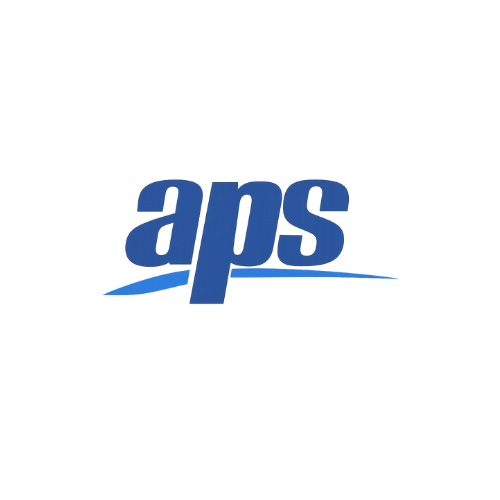 APS Tax and Accounting Services
