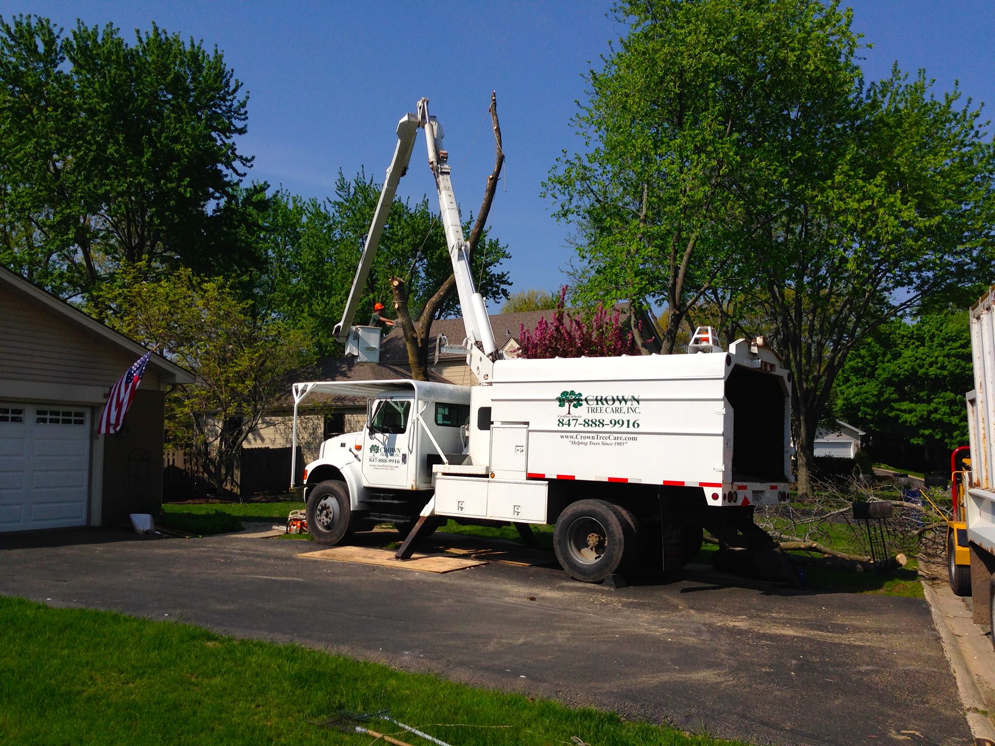 Crown Tree Care Inc Image