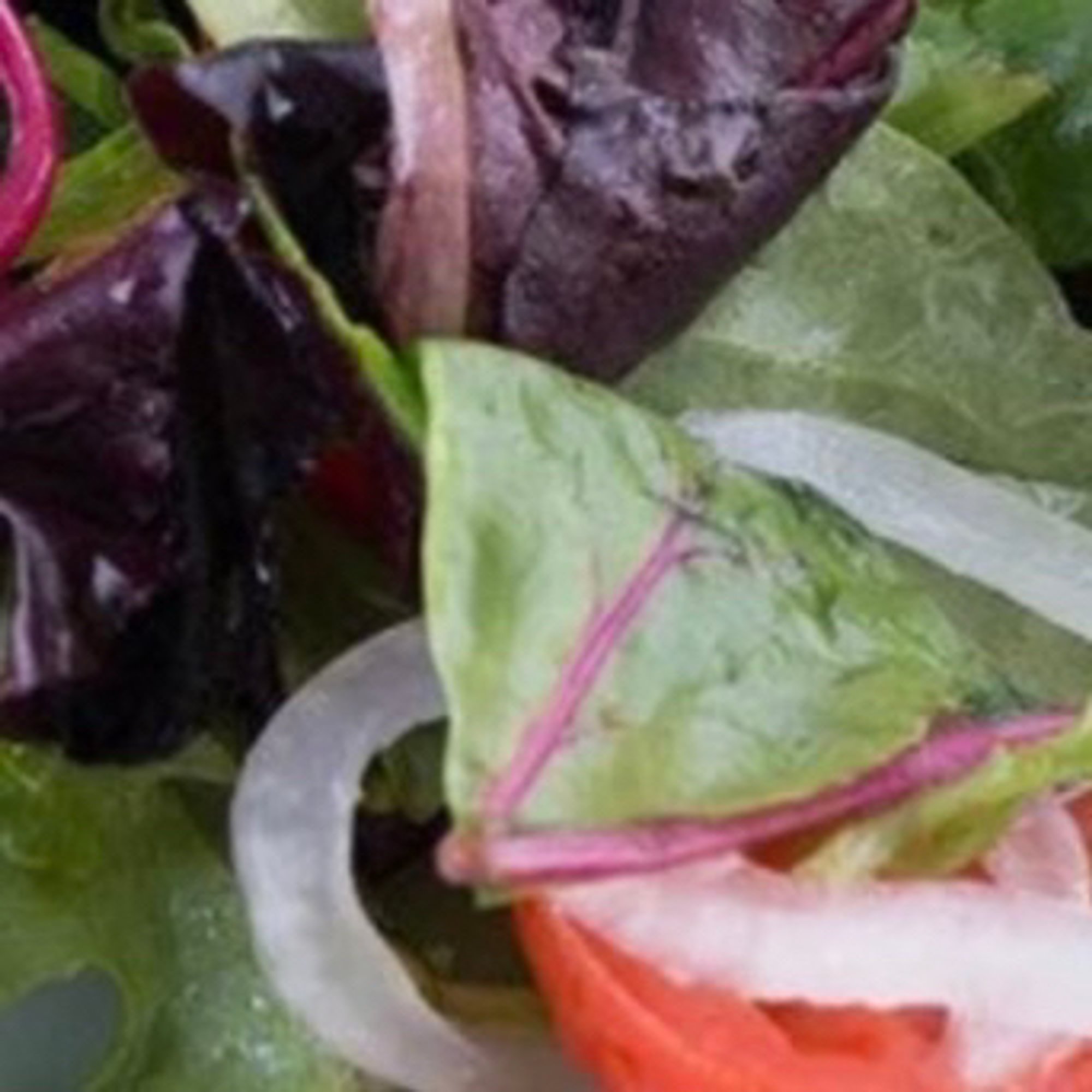 Tricolore Salad