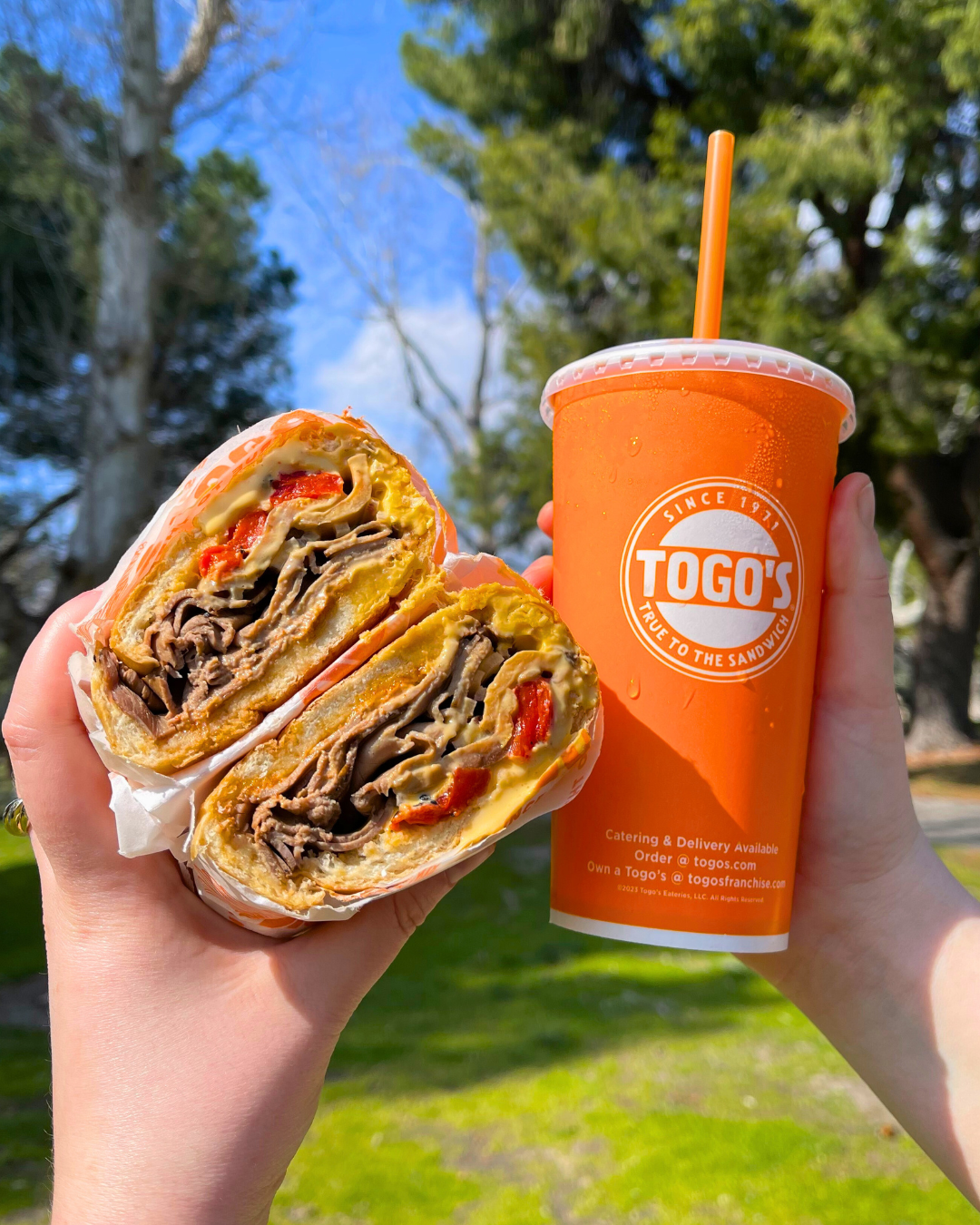 TOGO'S Sandwiches Image