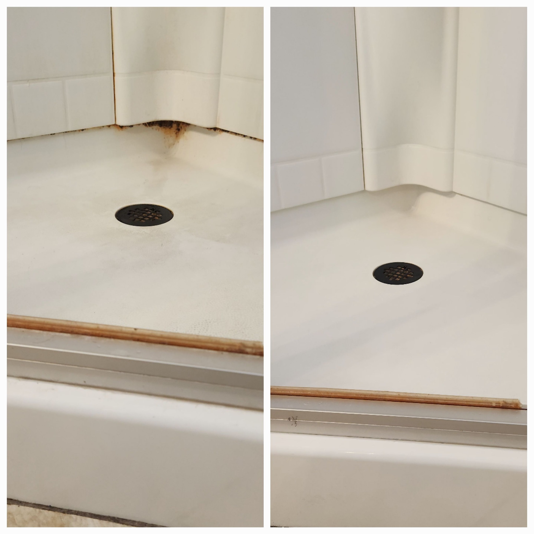 Envy Cleaning Services Image
