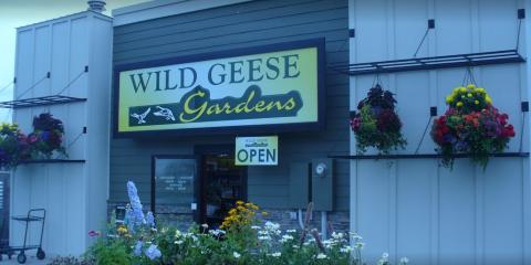 Wild Geese Gardens Photo