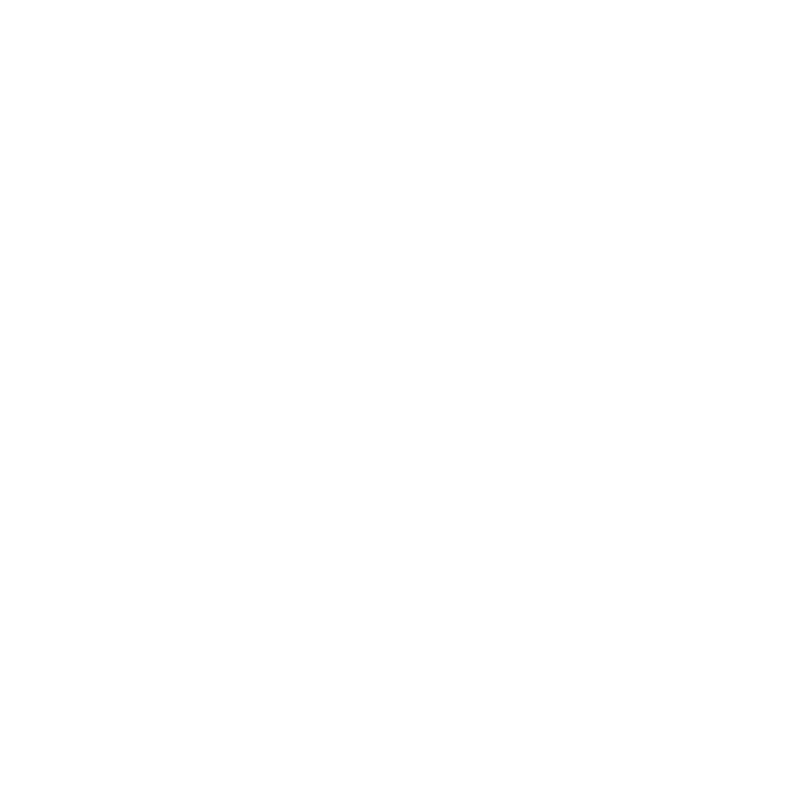 Bild der Idol Personal Service